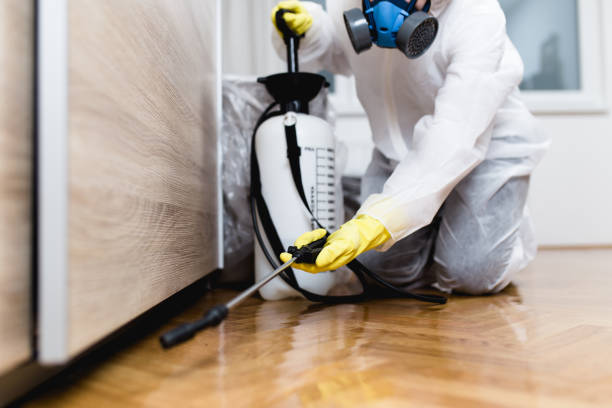 Best Affordable Pest Control Services  in New Philadelphia, OH