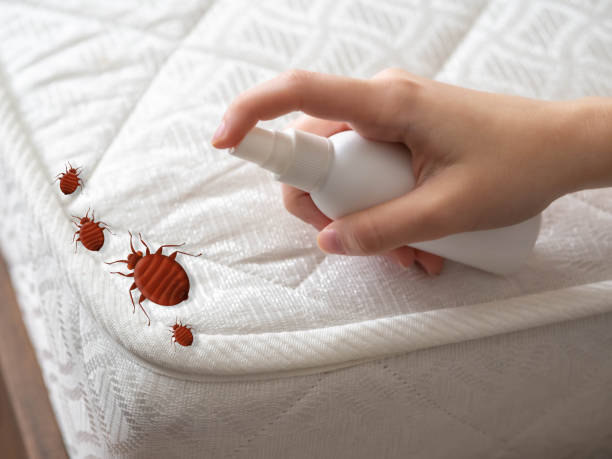 Best Emergency Pest Control  in New Philadelphia, OH